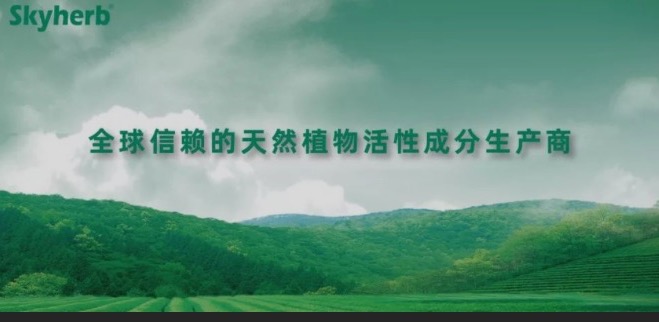 多年不懈努力，終獲官方青睞！